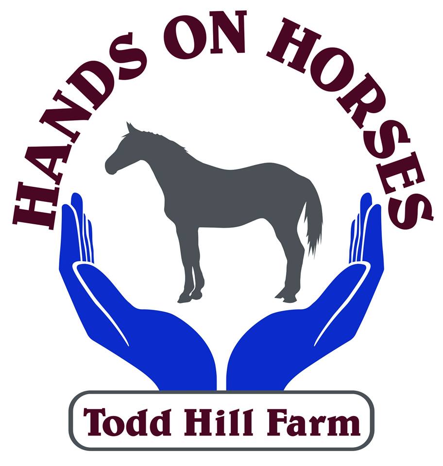 Hands on Horses Logo for a non riding lessons program