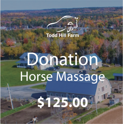 Donation – Horse Massage