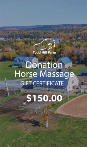 Donation – Horse Massage