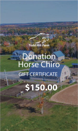 Donation – Horse Chiro