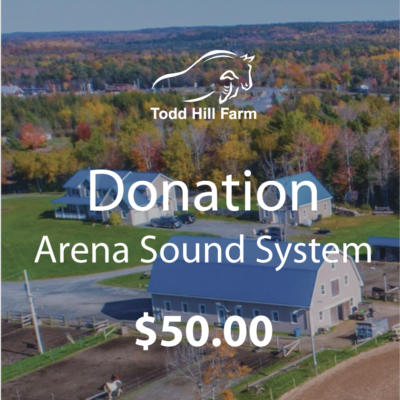 Donation – Arena Sound System
