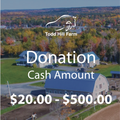 Donation – Cash Amount